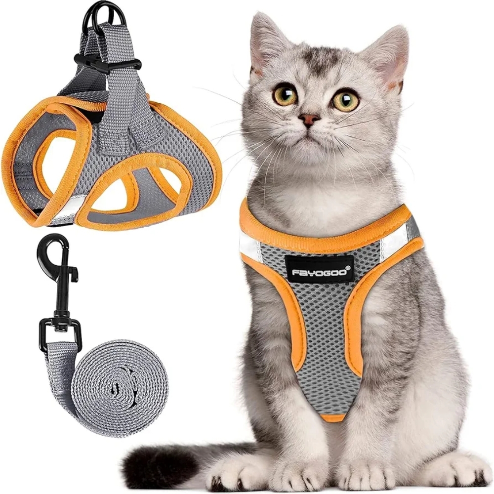 Cat harness